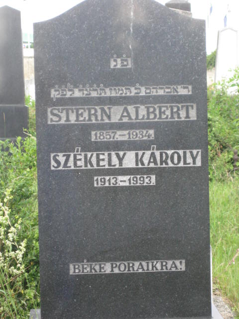 albert
                  stern