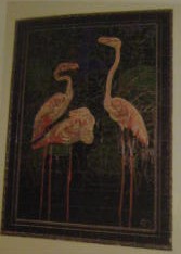 flamingo