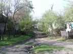 Krasilov Summer 2003