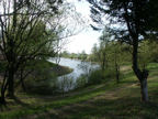 Krasilov Summer 2003