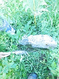 Krichovo-tombstone-21