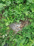 Kriva Nagykirva-tstone-024