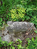 Kriva Nagykirva-tstone-061