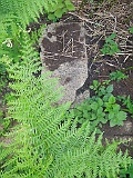 Kriva Nagykirva-tstone-127