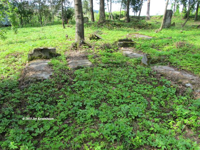 Gravestones in Krzywcza
Jewish Cemetery