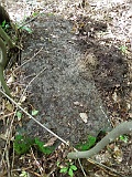 Kuzmyno-tombstone-renamed-13