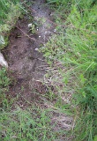 Loza-tstone-023