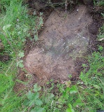 Loza-tstone-044