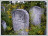 grave006.jpg