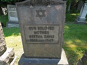 Davis-Bertha