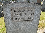 Filip-Hani