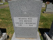 Friedman-Goldie