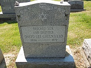 Greenfield-David-Lee