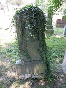 Illegible30