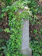 Illegible36