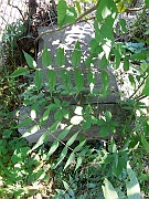 Illegible43