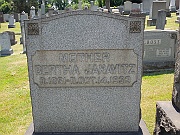 Janavitz-Bertha