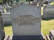 Janavitz-Emanuel