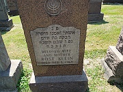 Klein-Rose-1