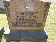 Kline-Molly