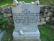 Landesman-Morris