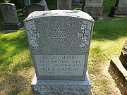 Langer-Rose