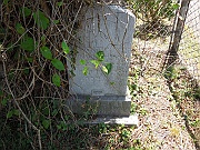 Lazarowitz-Leopold