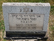 Lebowitz-David