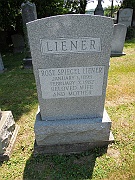 Liener-Rose-Spiegel