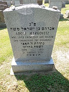 Markovitz-Adolph