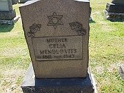 Mendlovitz-Celia