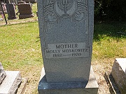 Moskowitz-Mollie