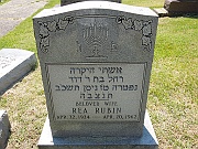 Rubin-Rea