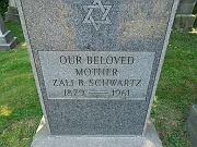 Schwartz-Zali-B