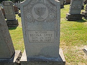 Spitz-Regina