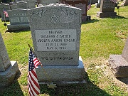 Ungar-Adolph-Aaron