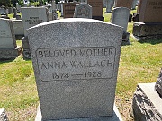 Wallach-Anna