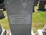 Weinstein-Elizabeth-Amsel