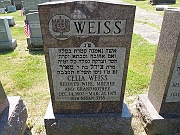 Weiss-Celia