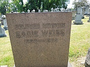 Weiss-Sadie