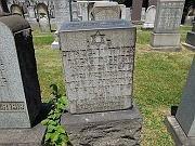 Wintner-Henry