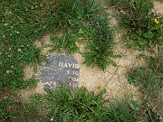 OHRINGER-David