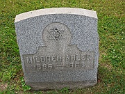 Adler-Mildred
