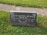 Bigman-Ruth-Halpern