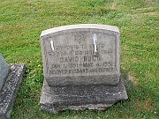 Buck-David