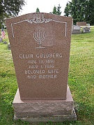 Goldberg-Celia