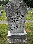 Goldberg-Taube