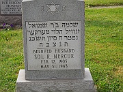 Mercur-Sol-R