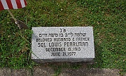 Pearlman-Sol-Lewis