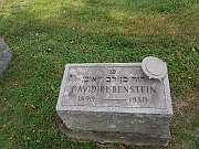 Rubenstein-David